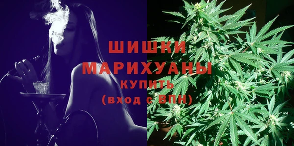 твердый Абаза
