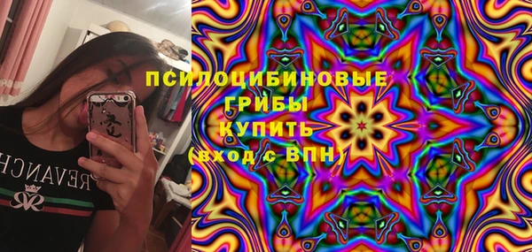 твердый Абаза